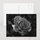 バラ ポストカード (正面/裏面)