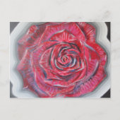 バラ ポストカード (正面)
