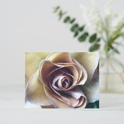 バラ ポストカード (スタンド正面)