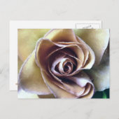 バラ ポストカード (正面/裏面)