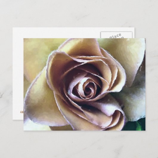 バラ ポストカード (正面/裏面)