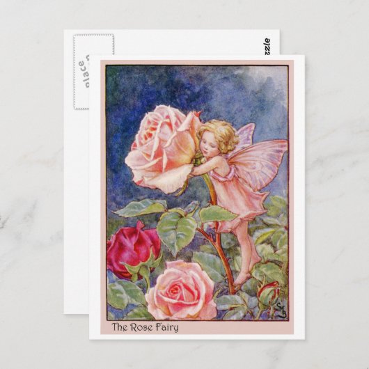 バラ ポストカード (正面/裏面)