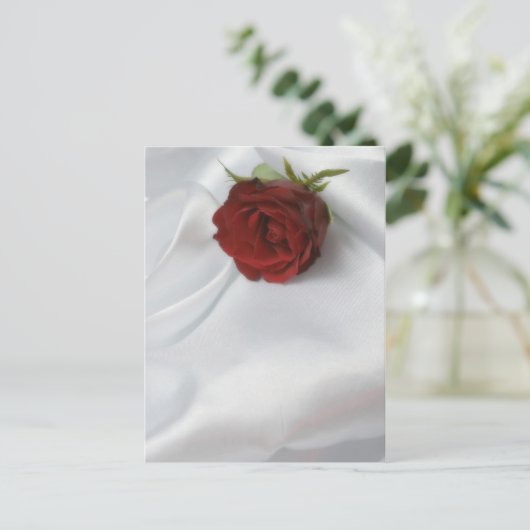 バラ ポストカード (スタンド正面)