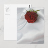 バラ ポストカード (正面/裏面)