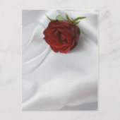 バラ ポストカード (正面)