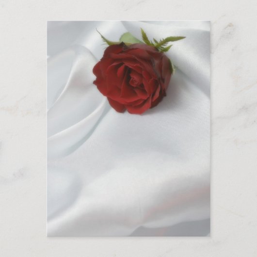 バラ ポストカード (正面)