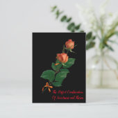 バラ ポストカード (スタンド正面)