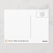 バラ ポストカード (裏面)