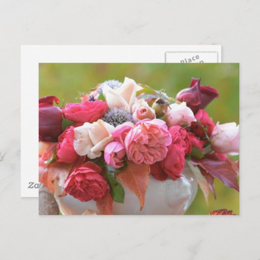 バラ ポストカード (正面/裏面)