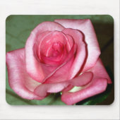 バラ マウスパッド (正面)