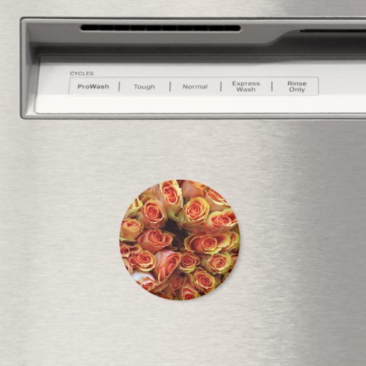 バラ マグネット (インサイチュ (食洗機))
