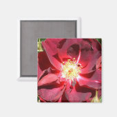 バラ マグネット (正面/裏面)