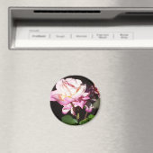 バラ マグネット (インサイチュ (食洗機))