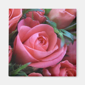 バラ マグネット (正面)