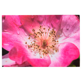 バラ メタルプリント