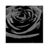 バラ ラバースタンプ (インプリント)