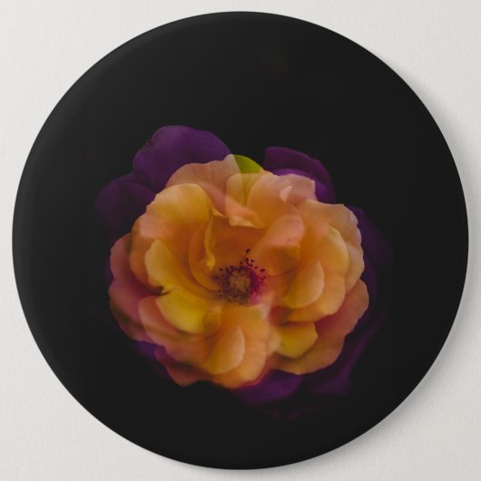 バラ(二重露出バージョン) 缶バッジ (正面)