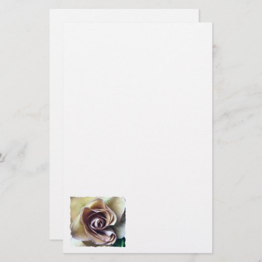 バラ 便箋 (正面/裏面)