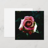 バラ 招待状 (正面/裏面)