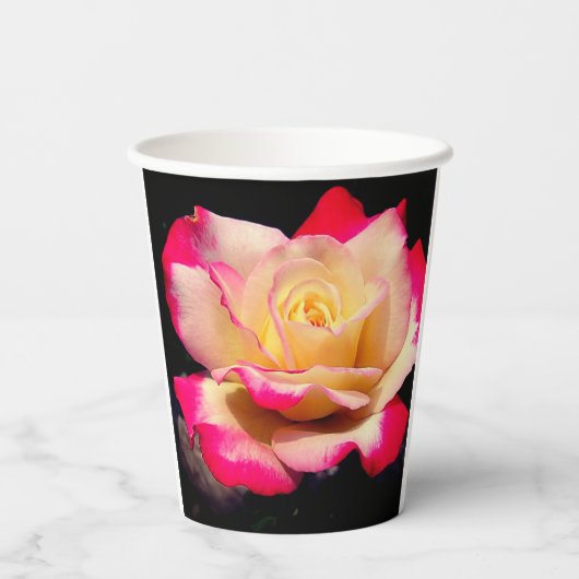 バラ 紙コップ (裏面)