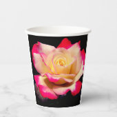 バラ 紙コップ (正面)