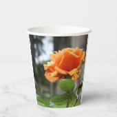 バラ 紙コップ (裏面)