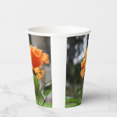 バラ 紙コップ (右)