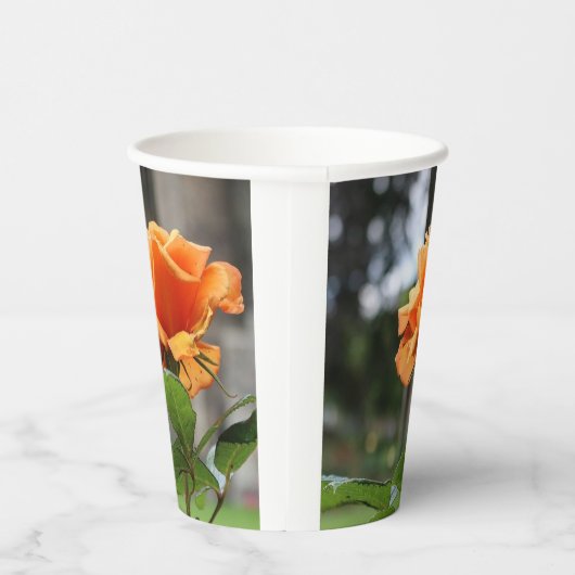 バラ 紙コップ (右)