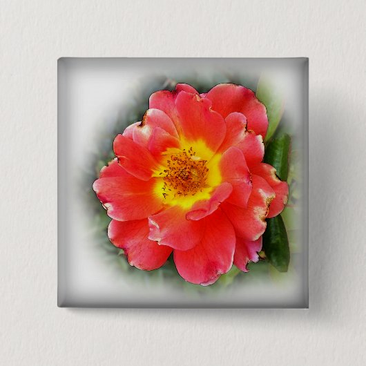 バラ 缶バッジ (正面)