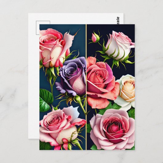 バラ、花、ポストクロッシング ポストカード (正面/裏面)