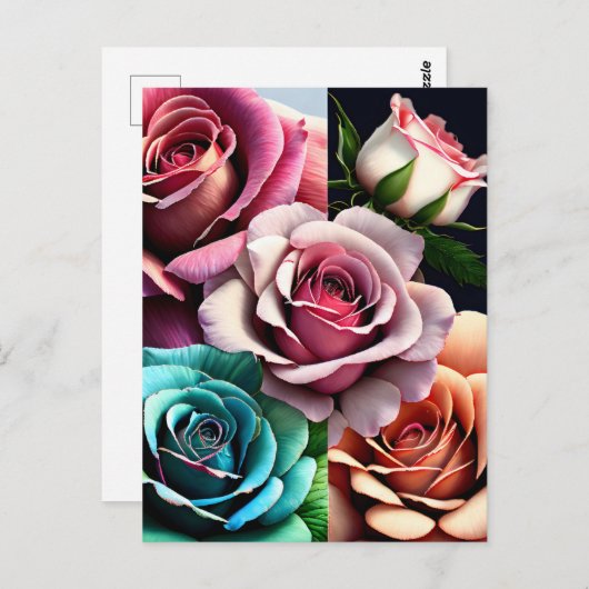 バラ、花、ポストクロッシング ポストカード (正面/裏面)