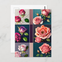 バラ、花、ポストクロッシング