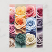 バラ、花、ポストクロッシング ポストカード (正面)