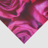 バラ 薄葉紙 (詳細)