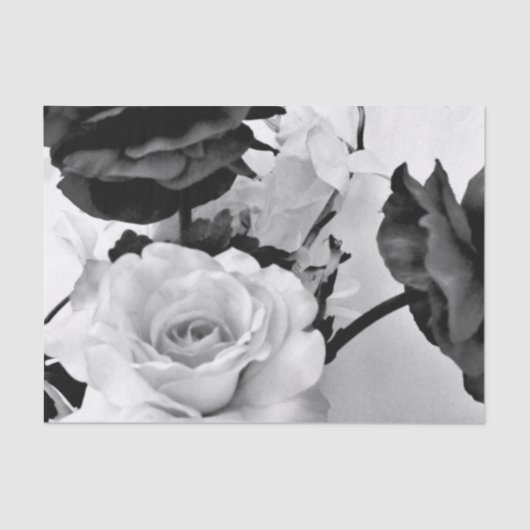 バラ 薄葉紙 (正面)