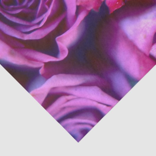 バラ 薄葉紙 (詳細)