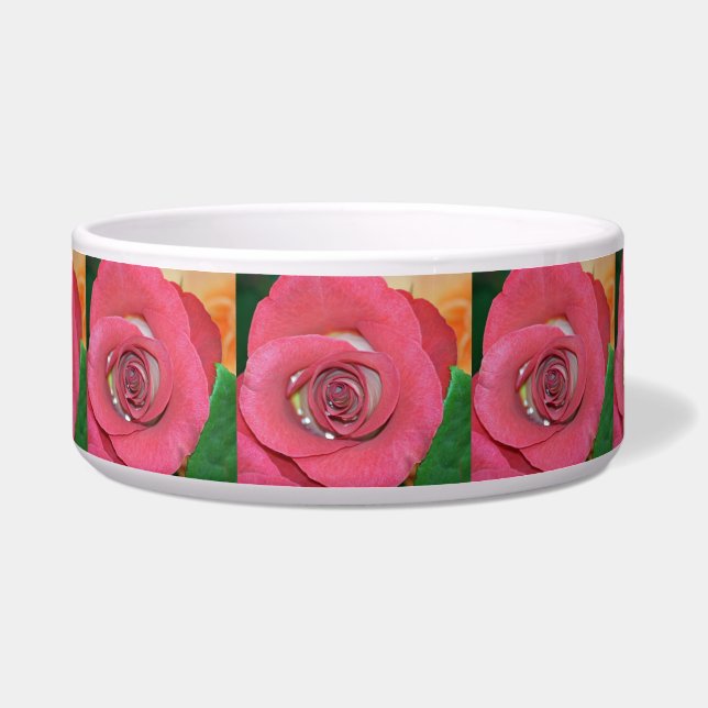 バラ_2015_0411 ボウル (正面)