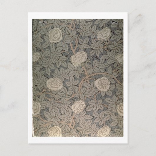 'バラ-90'壁紙デザイン ポストカード (正面)