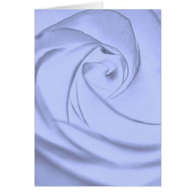 バラ(blue.jpg) (正面)