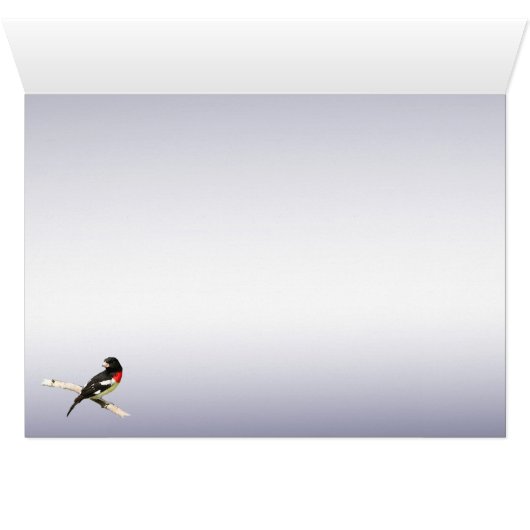 バラbreastedのGrosbeak (内部横(下))