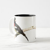 バラbreastedのGrosbeak ツートーンマグカップ (正面左)