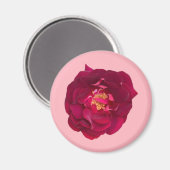 バラC マグネット (正面/裏面)