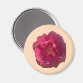 バラD マグネット (正面/裏面)