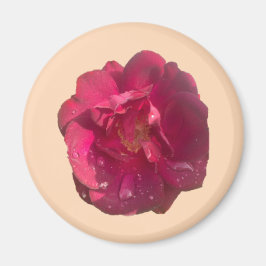 バラD マグネット