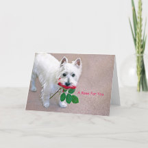 「バラFor You」すべての行事グリーティングカード