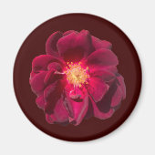 バラH マグネット (正面)