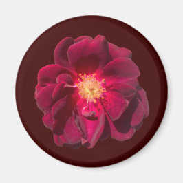 バラH マグネット