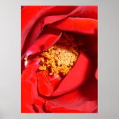 バラmf ポスター (正面)