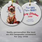 バリおもしろいナの猫がラ包まれたイツクリスマス セラミックオーナメント