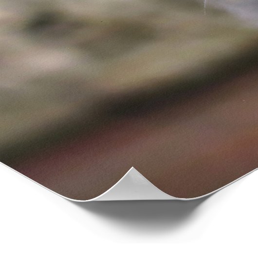 バリのマカク ポスター (角)